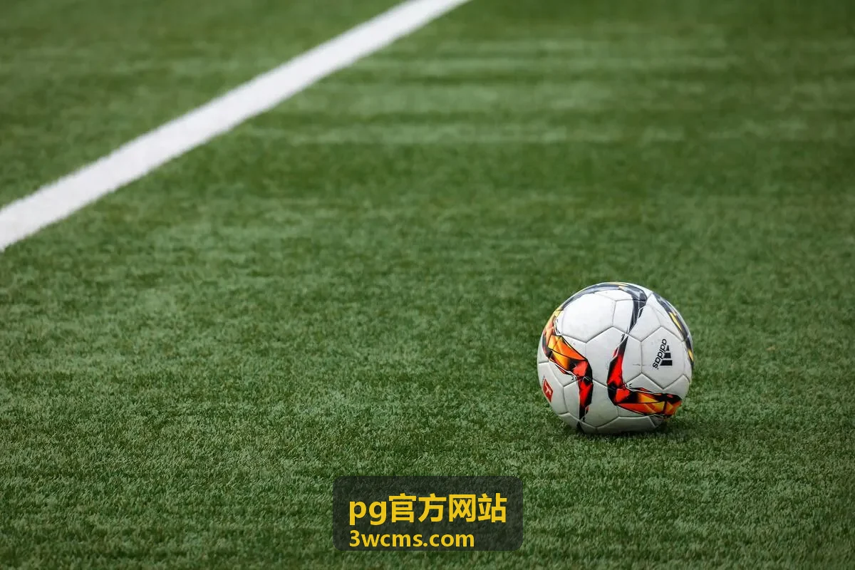 pg官方网站咨询响应流程